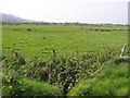 Margymonaghan Townland