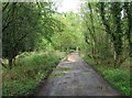 Restricted Byway - Bucklebury Common