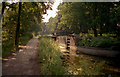 Deepcut Lock No 22, Basingstoke Canal