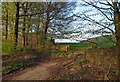 Evening light on a gate into Farmland