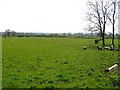 Drumaderry Townland