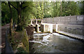 Remains of Stoke Lock, Itchen Navigation