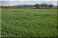 SO9143 : Farmland at Defford by Philip Halling