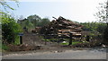C9536 : Log pile by Willie Duffin