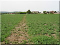 View along footpath towards Wye