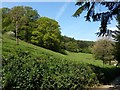 Slopes of Tamar valley, Underhill