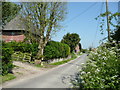 Country lane, Ramsdean