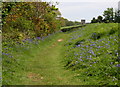 Footpath to Empacombe