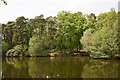 Looking across Hiltingbury Lake