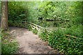 Hiltingbury Lakes