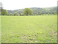 View across to the downs from East Harting Street