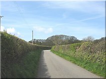SH3868 : Trimmed hedges on the minor road leading towards the former RAF Bodorgan by Eric Jones