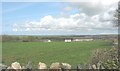 View across pasture land towards the centre of the village of Hermon