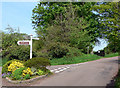 Torbryan - with well stocked traffic island