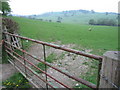 Welsh sheep grazing land