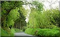 The Greenan Road near Ballycastle