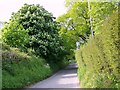 Quidham Street, Bowerchalke