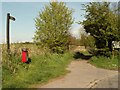 Public footpath to Pits Wood