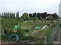 Allotments on Bromwich Road