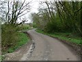 Leafy lane to Farm Town