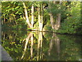 Canal reflections at Bingley