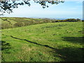 Farmland near Chyandour Brook