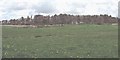 View across fields towards Parc Glas Farmhouse and Coed Trefeilir woodland