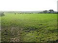 Farmland near Tremayne