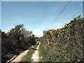 Farm road to Fferam Parc and Tyddyn Valentine