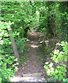 Footpath - Leeds Road, Bramhope