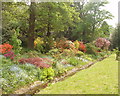 Azaleas in Cannizaro Park