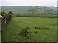 Looking across the valley to Cefn Gof