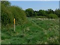 Footpath to Braunstone Town