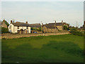 Evening sunlight at Nether Haugh