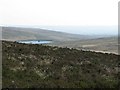 D1814 : Moorland with Forking Burn valley and Quolie Reservoir behind by Philip