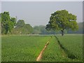 SU8172 : Farmland, Hurst by Andrew Smith