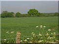 Farmland, Jealott