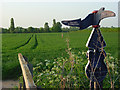 SU5093 : Farmland and cycle network signpost, Sutton Courtenay by Andrew Smith