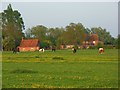 Stonehill Farm, Drayton