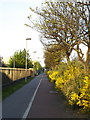 Hedon Road Cycle Track