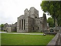G8002 : Boyle Abbey by Oliver Dixon