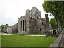 G8002 : Boyle Abbey by Oliver Dixon