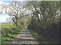 Country road by Tan-yr-Allt Farm