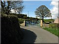 Blind bend in the road by the gate to Tan-yr-Allt Farm