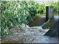 River Leen - Salmon ladder