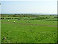 Burren More