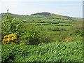 Near Ballystrone Hill