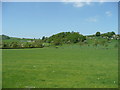 Landscape east of Kerry