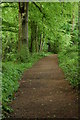 Woodland path to Piercefield Park