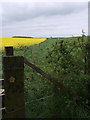 Footpath to Highfields Farm